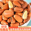 Wholesale of Whole Boxes of Northeastern Large Pine Nuts with Open Shells, Extra Large Kernels, Bulk Nuts, Snacks