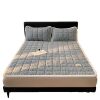 Category a Maternal and Infant Grade Fleece-Lined Thickeneded Milk Velvet Mattress Pad Quilt Winter Student Dormitory Soft Velvet Mattress Bed Cover Bed