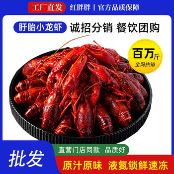 Red Fat Xuyi Fresh-Locked Crayfish with Liquid Nitrogen for Catering, Commercial Grade, Selected Quality Wholesale