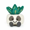 Skeleton potted plant 11cm
