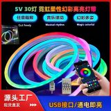 Трансграничный 5v неоновый гибкий симфонический светодиодный светильник symphony led light with horse racing красочный USB bluetooth APP decoration shape открытый водонепроницаемый