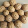 Authentic Xinjiang thin peel walnut paper Peel large walnut Aksu city thin peel walnut original flavor raw food wholesale and retail