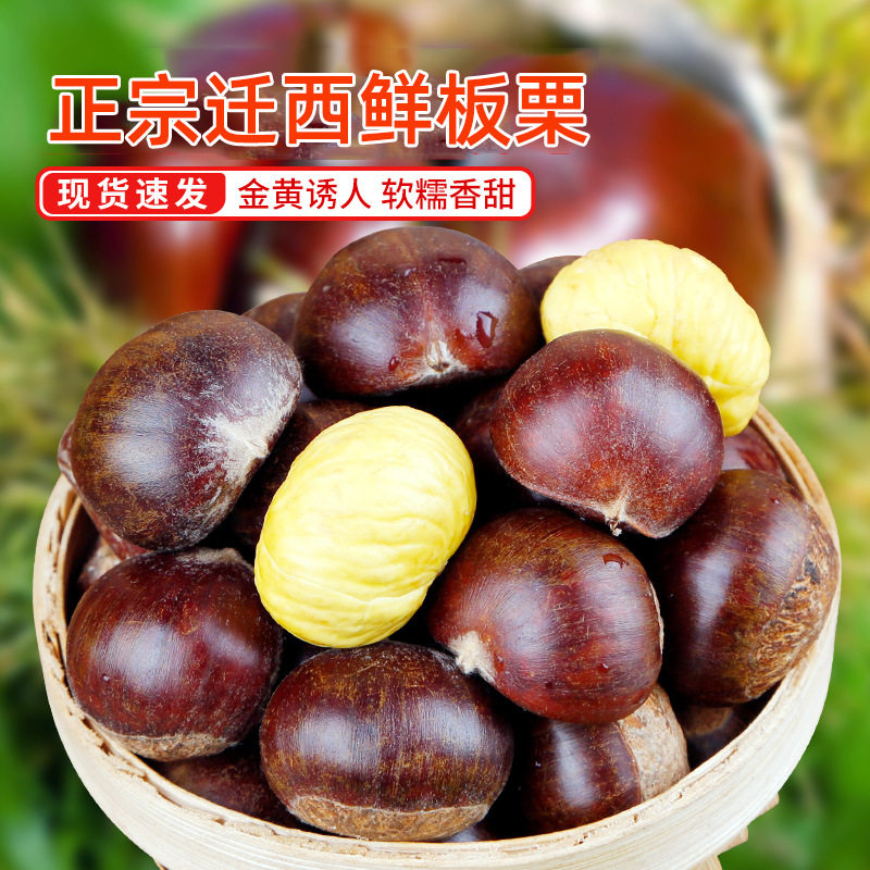 2024 New Goods Picking Qianxi Authentic Chestnut Fresh Chestnut Hebei Chestnut Wild Oil Chestnut Big Castanea henryi Small