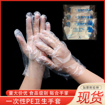 Plastic raw food film disposable gloves wholesale PE sanitary thickened transparent catering takeaway beauty housework