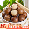 Carefully Selected Macadamia Nuts with Creamy Flavor, Large Nuts, Snacks with Thin Skin and Milky Aroma