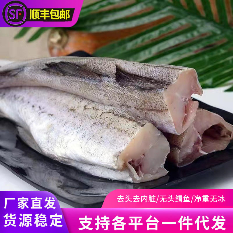 Ming Taiyu Fresh Frozen Headless Cod Narrow Cod Sea Fish Snow Fish Garlic Fish Sea Fish Seafood Aquatic Wholesale