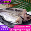 Ming Taiyu Fresh Frozen Headless Cod Narrow Cod Sea Fish Snow Fish Garlic Fish Sea Fish Seafood Aquatic Wholesale