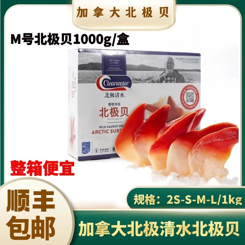 M Size Clear Water Canadian Arctic Scallops Original 1kg 2S S L Sushi Sashimi Platter Ready-To-Eat Seafood Not Sliced