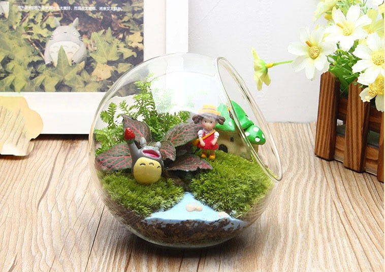 微景观斜口玻璃花瓶 苔藓 多肉DIY生态瓶 水晶玻璃家居饰品批发