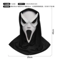 Assassin's scream hood