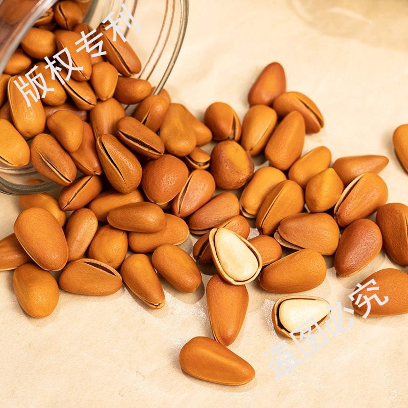 Premium Extra Large Northeastern Pine Nuts Bulk Large Grains 500g Original Flavor Red Pine Nuts for Pregnant Women Canned New Arrival