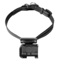Action camera pet set