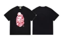 146 black and red