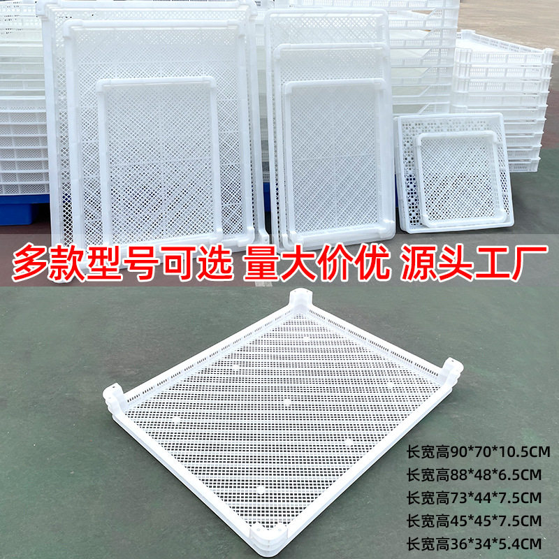 Factory plastic basket food drying basket drying tray drying tray jujube sea cucumber herbal tray plastic single freezer