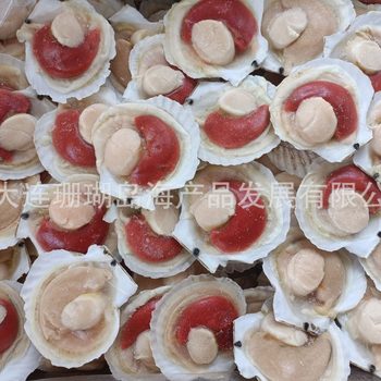 Half-Shell Scallop, Half-Shell Ezo Scallop, Scallop