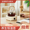 New multi-functional household intelligent electric ceramic stove teapot indoor glass tea maker small tea stove kettle