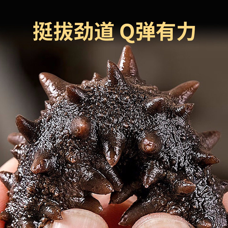 Dalian Wild Fresh Sea Cucumber Ready-To-Eat Sea Cucumber Fresh Liaoning Sea Cucumber Sea Cucumber Single Gift Box Instant Special Price