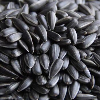 Sunflower Seeds with Black Pearl Flavor 2.5kg New Year Small Sunflower Seeds 1.0kg Roasted Seeds with Light Butter Salt Original Flavor Snack