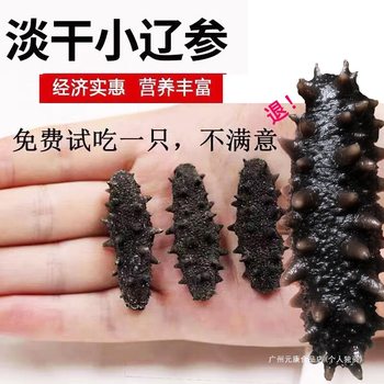 Dalian Sea Cucumber Dried Goods Wild Liaoning Sea Cucumber Mini Light-Dried Small Sea Cucumber Sea Cucumber Quick-Release Hotel Supply Ready-To-Eat Pure Light-Dried