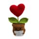 Handmand Emotionlal Support Plant Gift手工编织积极的植物盆栽