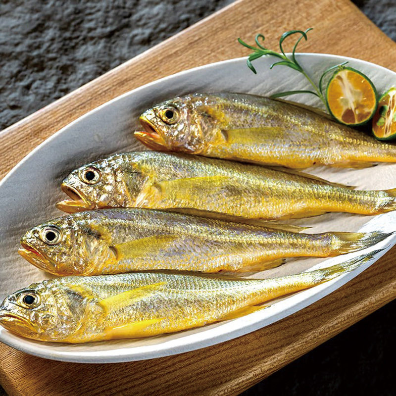 Fresh Frozen Small Yellow Croaker, Sea-Caught Small Yellow Croaker, Fresh Quick-Frozen Small Yellow Croaker, Yellow Croaker Seafood and Aquatic Products Wholesale