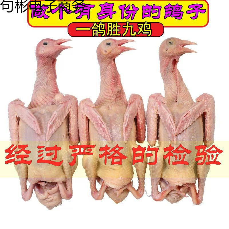 เนื้อนกพิราบสด บรรจุสุญญากาศ ส่งฟรี จัดส่งตรงจากโรงงาน ชิ้นเดียวส่งฟรี