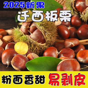 [Premium Selection]Hebei Qianxi Chestnuts - Direct Delivery 1/ 1.5kg - Sweet, Soft, and Fresh Raw Chestnuts of the Season