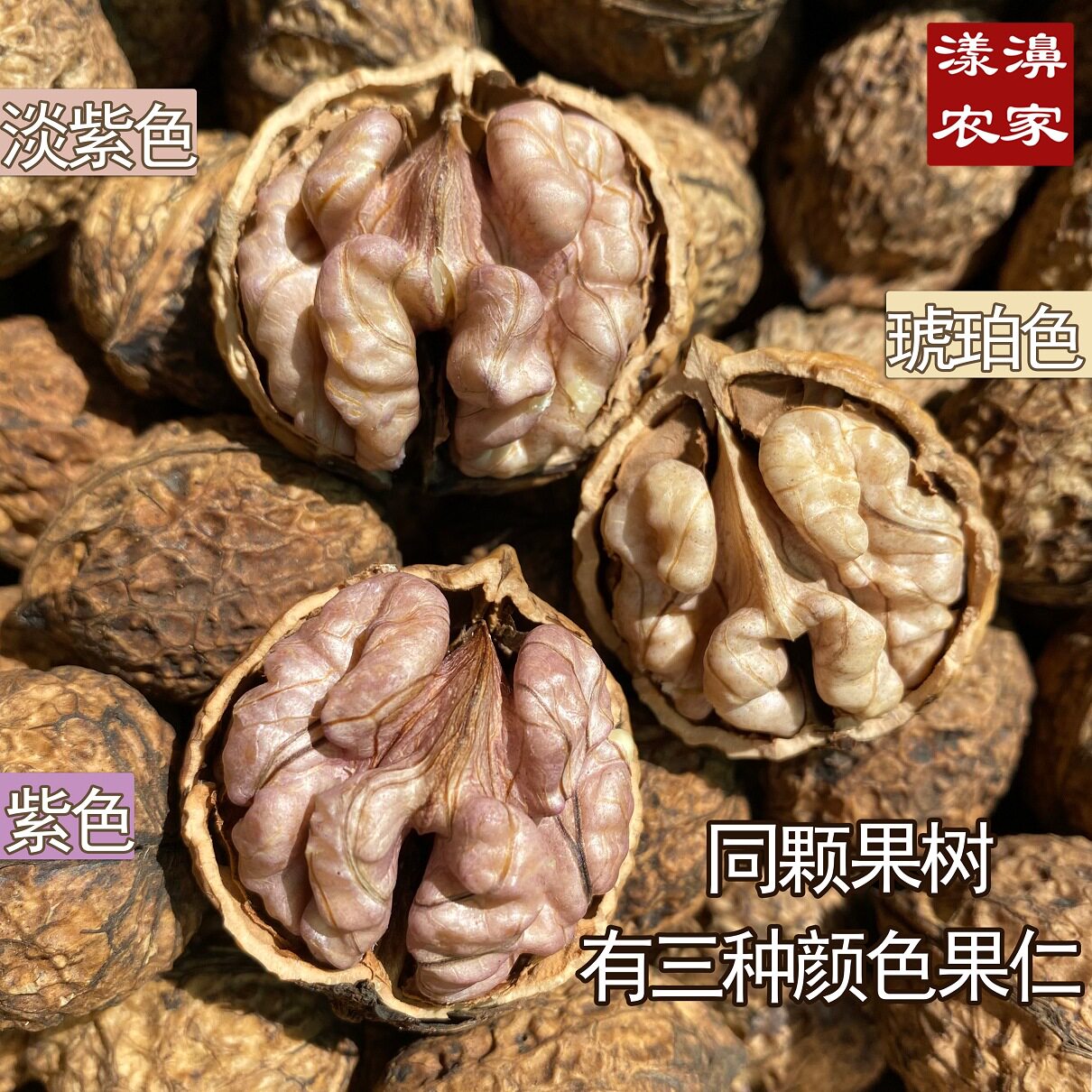 New Arrival Yunnan Yangbi Sharp-Tailed Purple Rice Mother Walnut Old Tree Thin-Skinned Nuts for Pregnant Women Wild Alpine Walnut Paper Skin