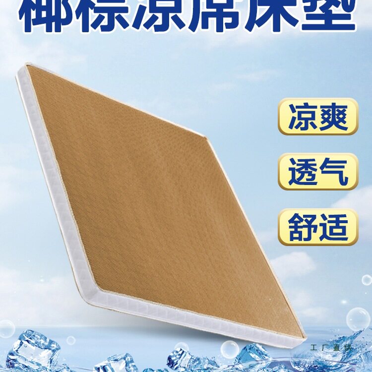 Coconut Palm Mat Mattress Plus Hard Waist Protection Natural 3E Pure Palm for the Elderly and Kidsren 3D Latex for Winter and Summer Use