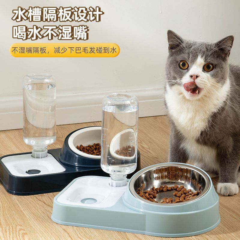 新款不锈钢猫碗陶瓷保护斜口自动饮水狗碗防狗狗食盆不湿嘴猫咪用 - 图2