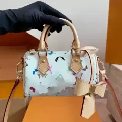 Louis vuitton Handbag Speedy