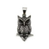 Europe and the United States cross-border hot retro cute pet owl titanium steel pendant personality titanium steel necklace accessories manufacturers wholesale