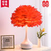 Feather table lamp bedroom bedside lamp Nordic ins girl Net red light bedside table decoration warm romantic decoration diy