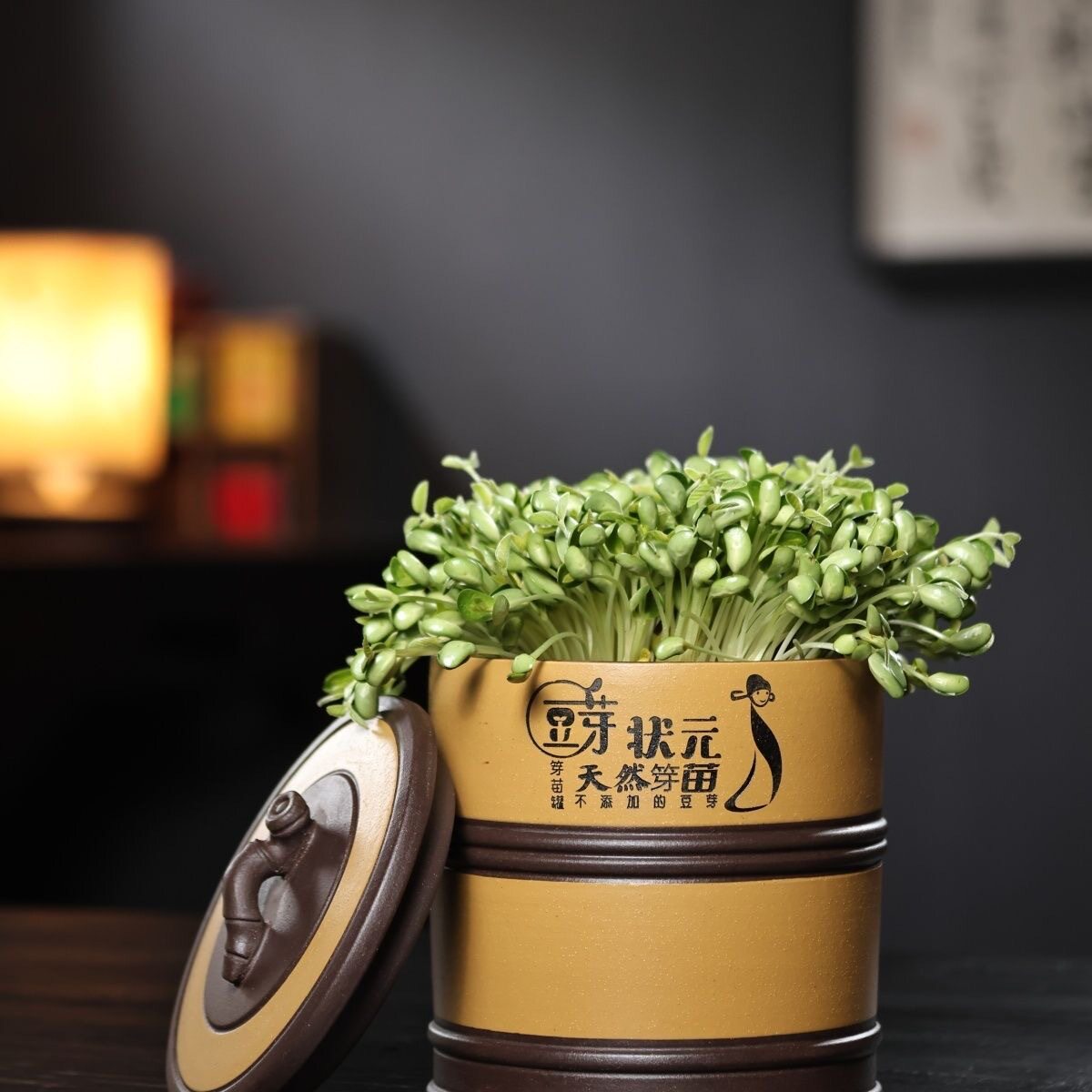 Zisha raw bean sprouts machine household bean sprouts artifact bean sprouts tank bucket container raw green yellow bean sprouts peanut sprouts germination basin