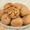 Authentic Xinjiang thin peel walnut paper Peel large walnut Aksu city thin peel walnut original flavor raw food wholesale and retail