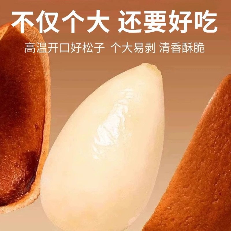 2024 New Large-Capacity Open Pine Nuts Non-Specialty Grade Extra Large Northeast Pine Nut Kernels Nut Snacks Wholesale Roasted Seeds