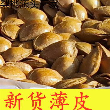 1.5kg Almond Nuts with Pits, Bulk Spiced Milk-Flavored Small White Apricots, Small Apricot Kernels 250g 500g Wholesale