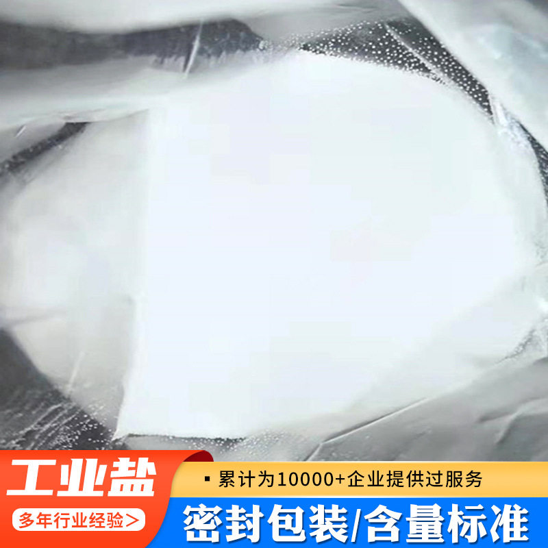 Sodium Chloride Softening Salt Fine Salt Powder Salt Water Treatment Pavement Deicing Antifreeze Refined Sodium Chloride Industrial Salt