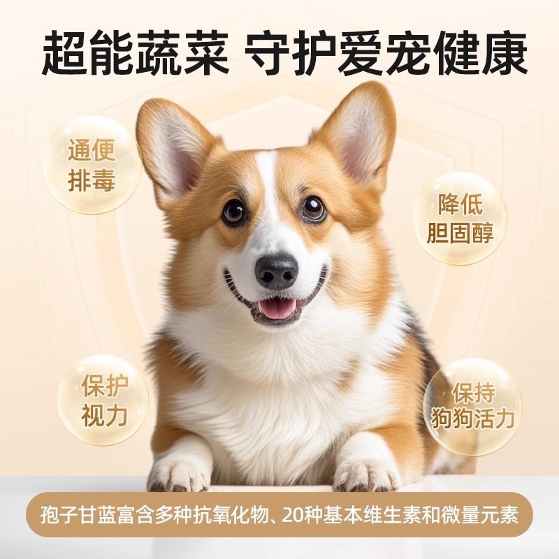 狗狗零食狗狗拌粮果蔬冻干孢子甘蓝果蔬冻干蔬菜水果宠物营养零食,淘宝优惠券,粉丝福利购,淘宝优惠卷