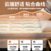 Hotel Mattress Upholstery Home Bedroom Mattress Mattress Mattress Mattress Mattress Cover Thickened Mattress Tatami Dormitory Single Quilt