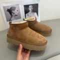 5cm maroon [economic edition]