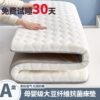 Four-Season Mattress Home Thickened Soft Cushion Student Dormitory Single and Double Memory Foam Sponge Mattress Mattress Bottom