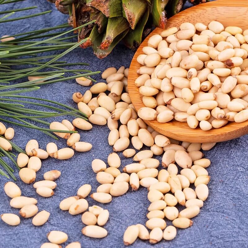2024 New Stock of Roasted Pine Nuts from Northeast Official Flagship Store, Pine Nut Kernels, Nuts for Pregnant Women, Wholesale Brazil