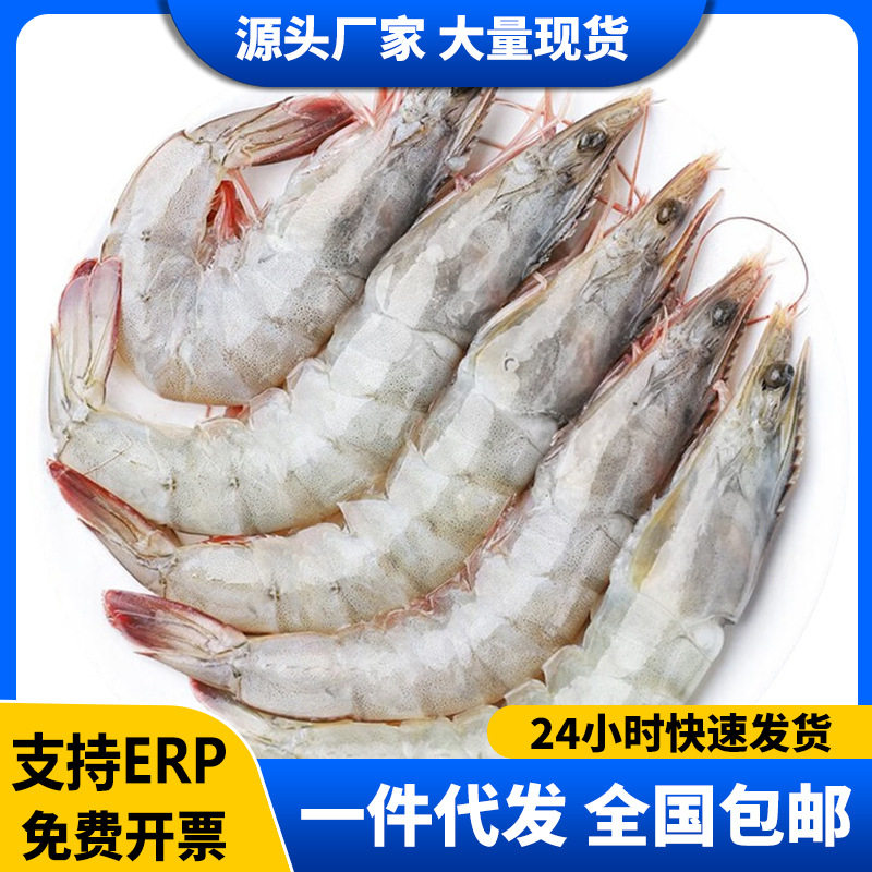Ecuadorian White Shrimp Fresh Quick-Frozen Salt-Frozen 2030 South American White Shrimp Base Shrimp Sea Shrimp Prawn Commercial