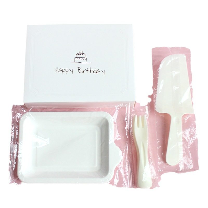 Birthday Dinner Plate Box Set Party Cake Disposable Knife and Fork Plate Combination Food Grade Plastic