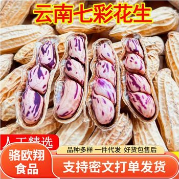 Colorful Peanuts, Original Flavor, Yunnan Pu'Er, Sun-Dried Colorful Peanuts, Raw with Shell, Cooked Milk Peanuts