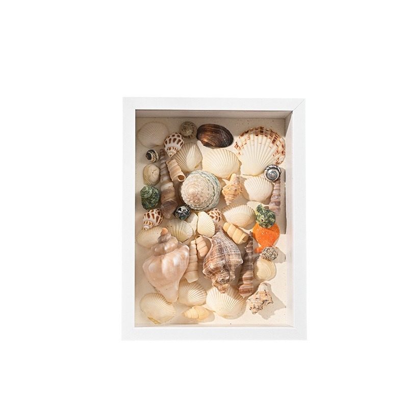 Beach Shell Collection Night Light Frame Picture Frame Hollow Photo Frame Album Creative Decoration Three-Dimensional Ornament with Light