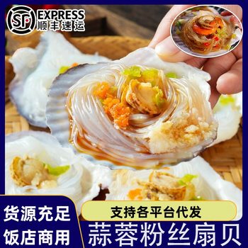 Garlic Vermicelli Scallops Half-Shell Large Scallops Steamed Vermicelli Seafood Barbecue Semi-Finished Products Wholesale Frozen Scallop Meat Commercial