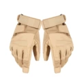 . Sand color