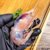 Red Devil Shrimp, Sea Shrimp, Sashimi, Fresh Sweet Shrimp, Catering Fresh Buffet Ingredients, Pipa Shrimp Wholesale